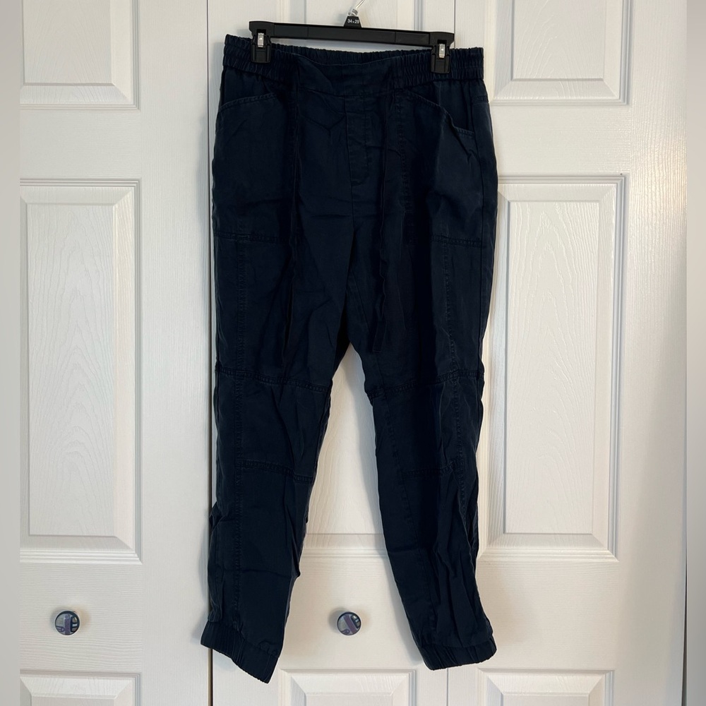 Banana Republic Blue Cargo Pants